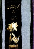 کتاب رنگ شهر آشوب در شور تنظیم برای سنتور فرامرز پایور