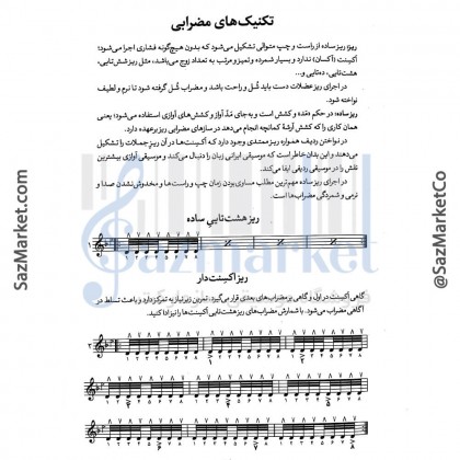 کتاب مبانی فن نوازندگی تار و سه تار
